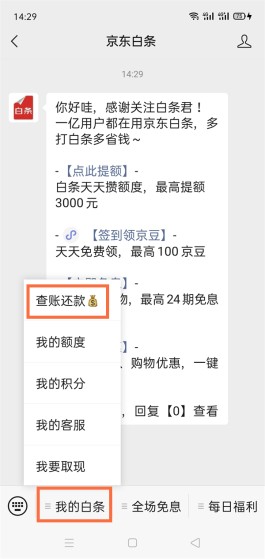 用京东白条支付后怎么还款(用京东白条支付后怎么还款啊)