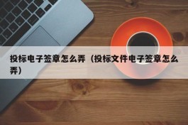 投标电子签章怎么弄（投标文件电子签章怎么弄）