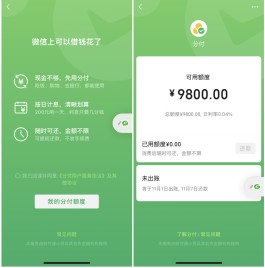 微信有花呗类似产品吗(微信有像花呗那样的吗)