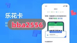 白条小额兑现商家(白条换现商户)