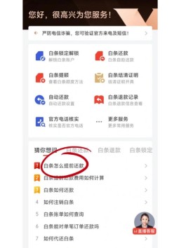 京东白条可以他人代还款吗(京东白条可以别人帮还吗)