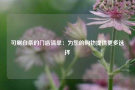 哪里有刷白条的商家，2025最新刷白条的商家