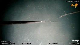 瑞典媒体首次曝光“北溪”断面视频 几乎排除意外事件可能性