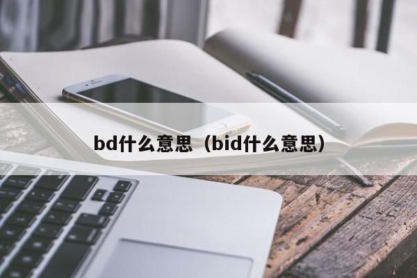 bd什么意思（bid什么意思）