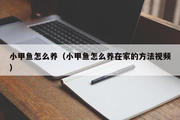 小甲鱼怎么养（小甲鱼怎么养在家的方法视频）