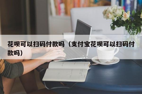 花呗可以扫码付款吗（支付宝花呗可以扫码付款吗）