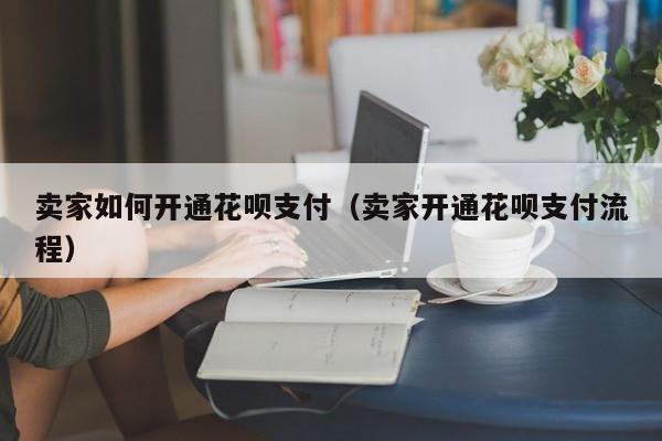 卖家如何开通花呗支付（卖家开通花呗支付流程）