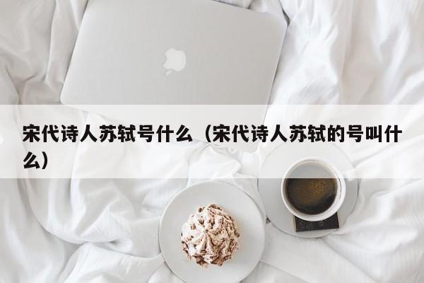 宋代诗人苏轼号什么（宋代诗人苏轼的号叫什么）