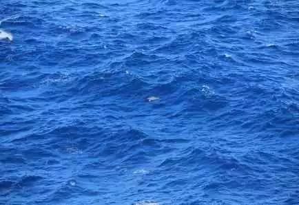 海水为什么是蓝色的(海水为什么是蓝色的?) 第1张 海水为什么是蓝色的(海水为什么是蓝色的?) 第1张
