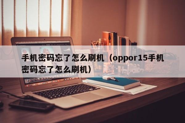 手机密码忘了怎么刷机（oppor15手机密码忘了怎么刷机）