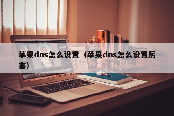 苹果dns怎么设置（苹果dns怎么设置厉害）