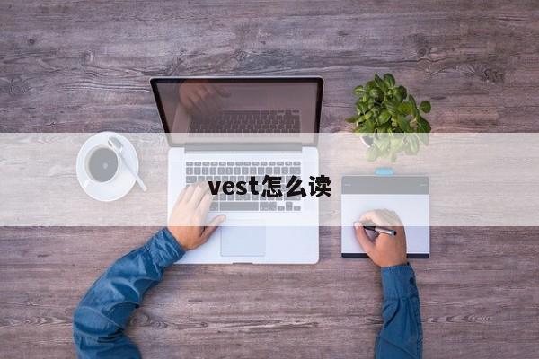 vest怎么读