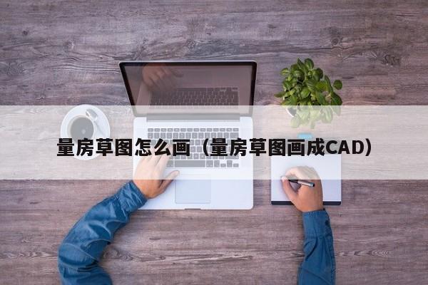 量房草图怎么画（量房草图画成CAD）