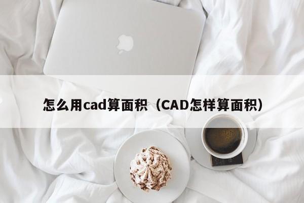 怎么用cad算面积（CAD怎样算面积）