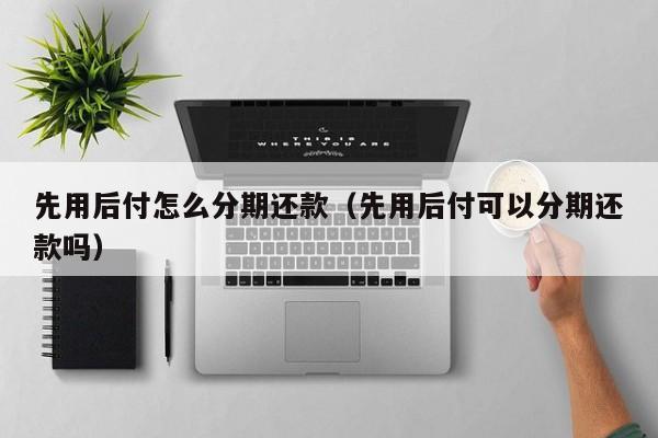 先用后付怎么分期还款（先用后付可以分期还款吗）