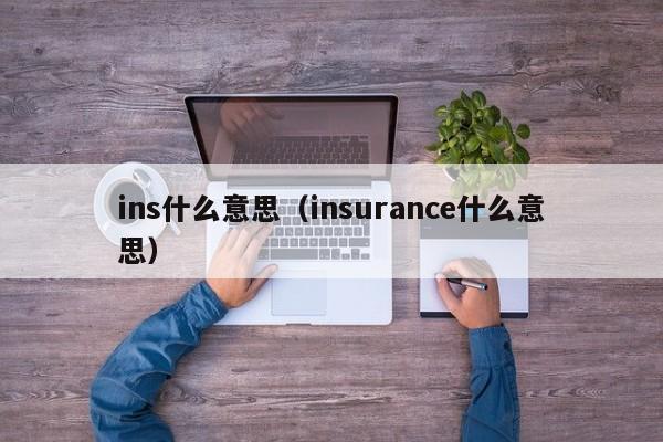 ins什么意思（insurance什么意思）