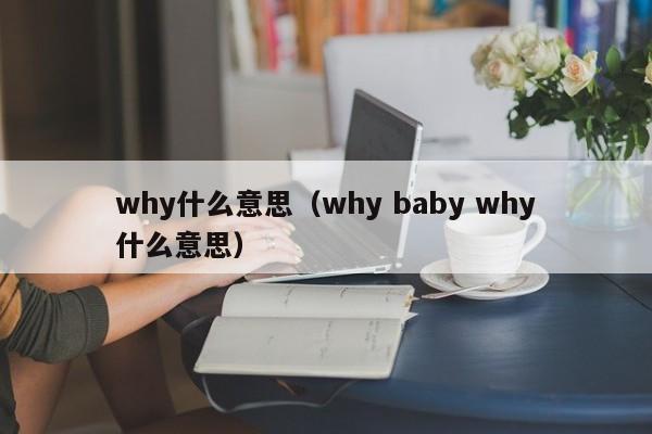 why什么意思（why baby why什么意思）