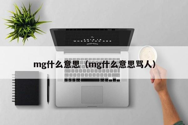 mg什么意思（mg什么意思骂人）