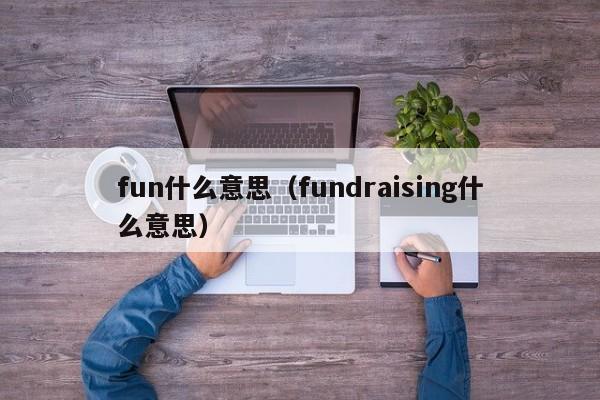 fun什么意思（fundraising什么意思）