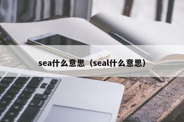 sea什么意思（seal什么意思）