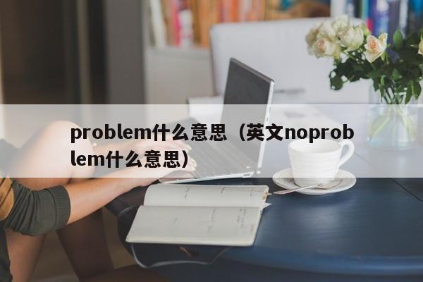 problem什么意思（英文noproblem什么意思）