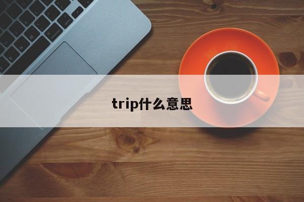 trip什么意思