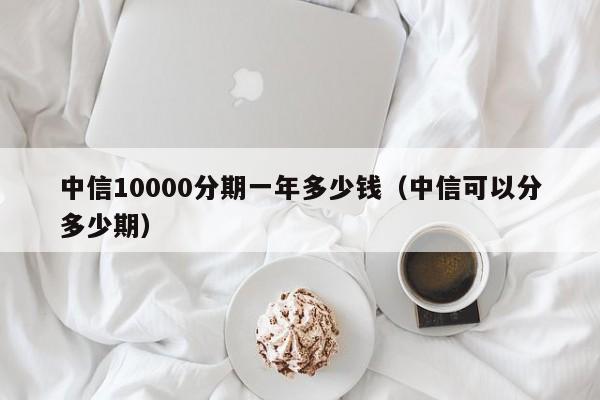 中信10000分期一年多少钱（中信可以分多少期）