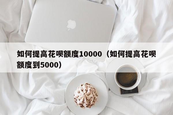 如何提高花呗额度10000（如何提高花呗额度到5000）