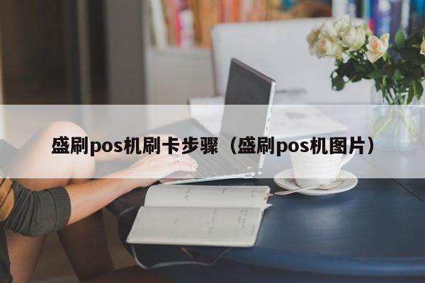 盛刷pos机刷卡步骤（盛刷pos机图片）