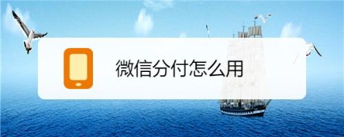 惊天大曝光！你关心的微信分付提现问题都在这里