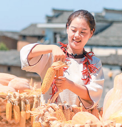 古村丰收乐（寻找最美乡村・阳产村）