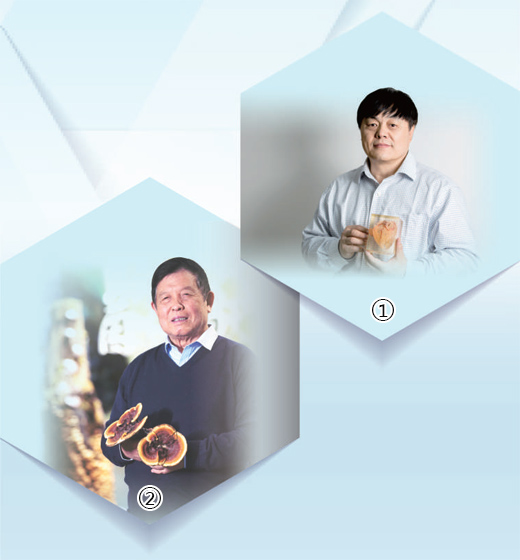 拳拳爱国心殷殷报国志(侨界传真) 第1张 拳拳爱国心殷殷报国志(侨界传真) 第1张