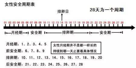 排卵期怎么算最准确(排卵期怎么测算)